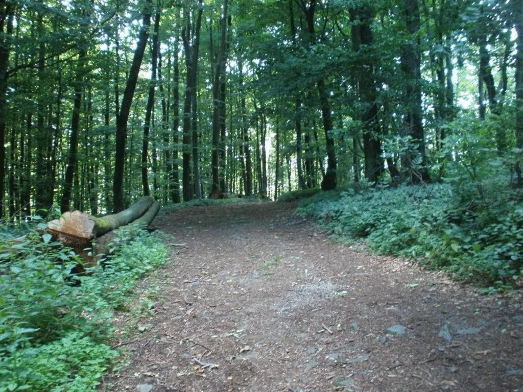 Irmgard Und Gerlinde Waldbrunn (Baden-Wurttemberg)